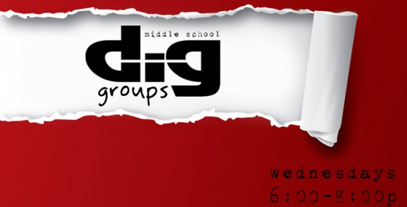 dig web
